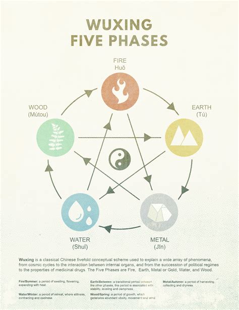 wuxing|The Five Phases ( wuxing , 五行)